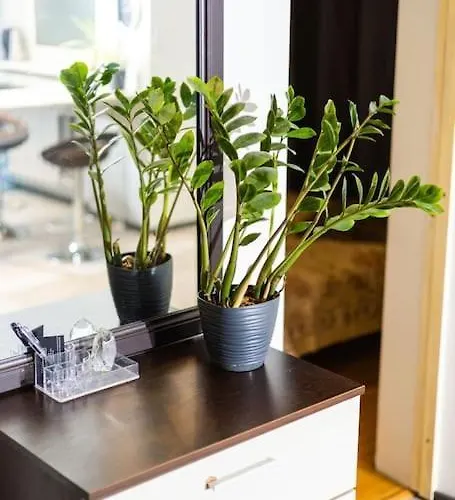 Lägenhet Hubane Korter Jaervel *