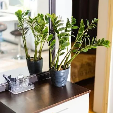 아파트 Hubane Korter Jaervel *